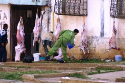 الحماية المدنية تُحذر من هذه التصرفات في عيد الأضحى