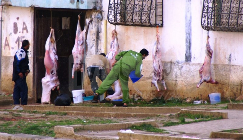 الحماية المدنية تُحذر من هذه التصرفات في عيد الأضحى