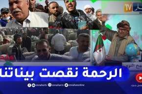 الشيخ النوي: غياب الأخلاق في أسواق الماشية والدولة غايبة.. السماسرة داروا حالة