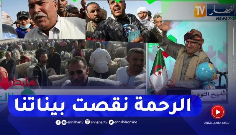 الشيخ النوي: غياب الأخلاق في أسواق الماشية والدولة غايبة.. السماسرة داروا حالة