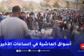 المسيلة: إقبال معتبر عشية عيد الأضحى على الأسواق.. ومواطنون أملهم تراجع الأسعار
