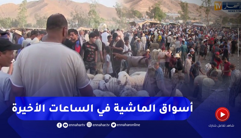 المسيلة: إقبال معتبر عشية عيد الأضحى على الأسواق.. ومواطنون أملهم تراجع الأسعار