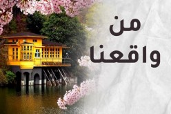 ردود في سطور