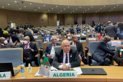لعمامرة يشارك في أشغال المجلس التنفيذي للاتحاد الافريقي بزامبيا