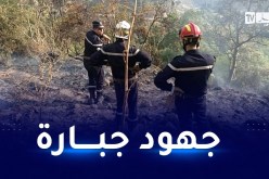 سطيف: الحماية المدنية تواصل إخماد حريق جبل بابور