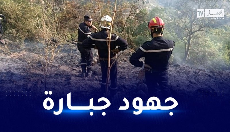 سطيف: الحماية المدنية تواصل إخماد حريق جبل بابور