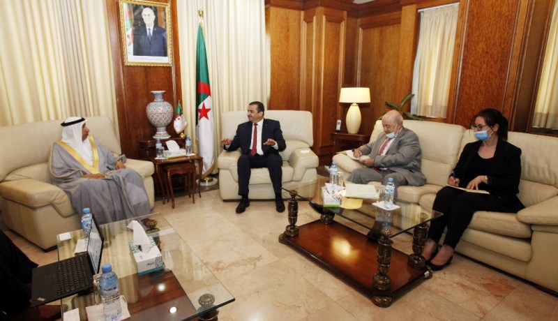وزير الطاقة يناقش فرص الإستثمار والشراكة مع الإمارات