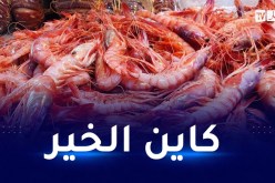 إطلاق أول مشروع جزائري لإنتاج الجمبري عالي الجودة في غليزان