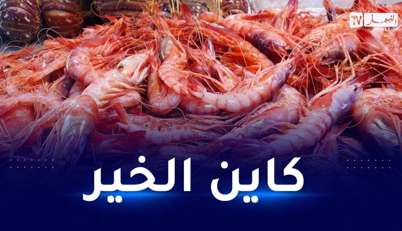 إطلاق أول مشروع جزائري لإنتاج الجمبري عالي الجودة في غليزان