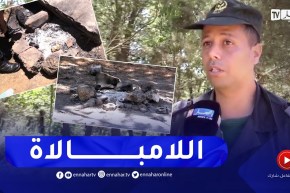 عيد الأَضحى: مخلفات الشواء في الفضاءات الغابية .. اللامبالاة قد تحدث كوارث