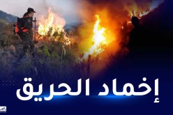 تونس: إخماد كل الحرائق بجبل بوقرنين ومنطقة جبل سدراية