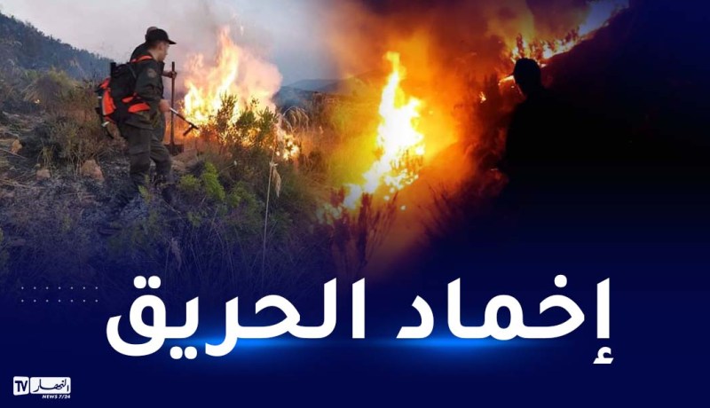 تونس: إخماد كل الحرائق بجبل بوقرنين ومنطقة جبل سدراية