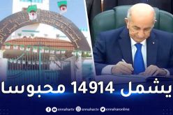 هذه هي الفئات التي سيمسها العفو الرئاسي