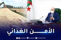 الرئيس تبون يأمر الحكومة بتكثيف الجهود لضمان الأمن الغذائي خاصة في مجال الحبوب