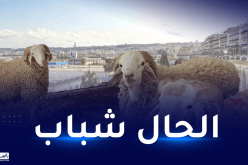 هذه توقعات الطقس يومي عيد الأضحى