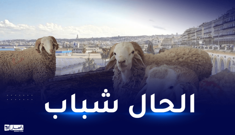 هذه توقعات الطقس يومي عيد الأضحى