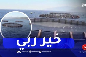 بجاية : عملية إستزراع مليون وحدة من صغار السمك بالأقفاص العائمة ببني كسيلة