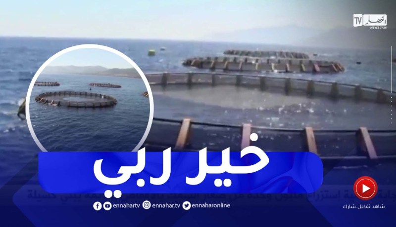 بجاية : عملية إستزراع مليون وحدة من صغار السمك بالأقفاص العائمة ببني كسيلة