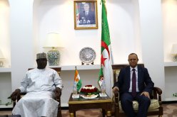 تعزيز التعاون بين الجزائر و النيجر في مجال الأشغال العمومية