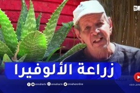 عمي بضياف يحقق نجاح باهر في زراعة نبتة “الألوفيرا” والنباتات والورود العطرية بالمنيعة