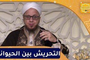 فاسألوا : النهي عن التحريش بين الحيوانات