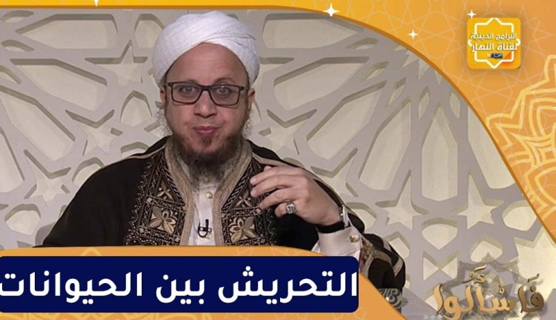 فاسألوا : النهي عن التحريش بين الحيوانات