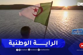 جزائريون: الراية الوطنية..  ذاكرة قصة كفاح