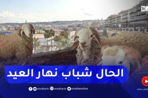 هوارية بن رقطة: درجات حرارة فصلية يومي العيد..وموجة حر بداية من الإثنين