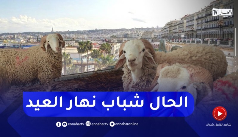 هوارية بن رقطة: درجات حرارة فصلية يومي العيد..وموجة حر بداية من الإثنين