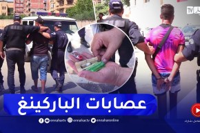 الحظائر العشوائية.. مداهمات ميدانية وإجراءات ردعية