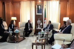 الرئيس التنفيذي لشركة النفط التايلاندية: مهتمون بمواصلة الاستثمار في الجزائر