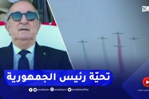 شاهد لحظة مرور سرب من الطائرات التدريبية تحية لرئيس الجمهورية