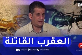 خبير في مكافحة التسمم العقربي بمعهد باستور : هذه هي الأماكن التي تنتشر فيها العقارب القـاتلة بكثرة