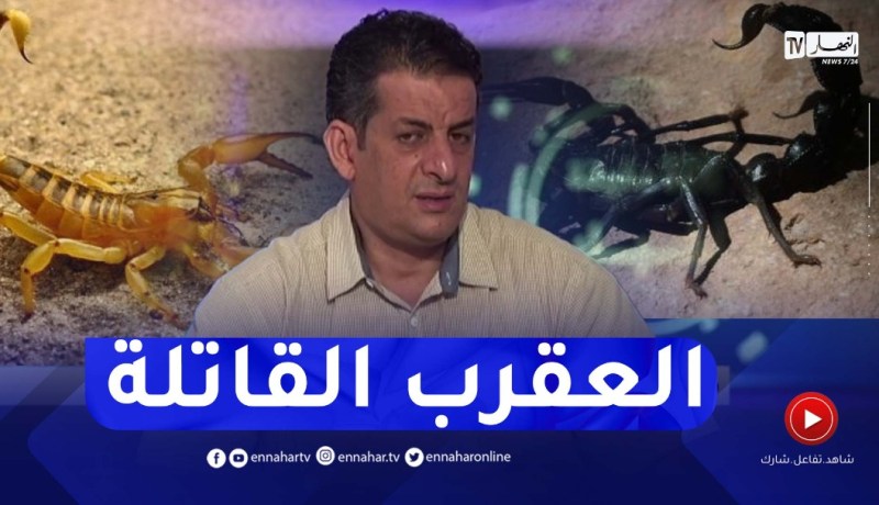 خبير في مكافحة التسمم العقربي بمعهد باستور : هذه هي الأماكن التي تنتشر فيها العقارب القـاتلة بكثرة