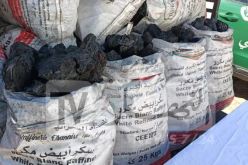 وزارة الفلاحة تجدد: انتاج الفحم ممنوع