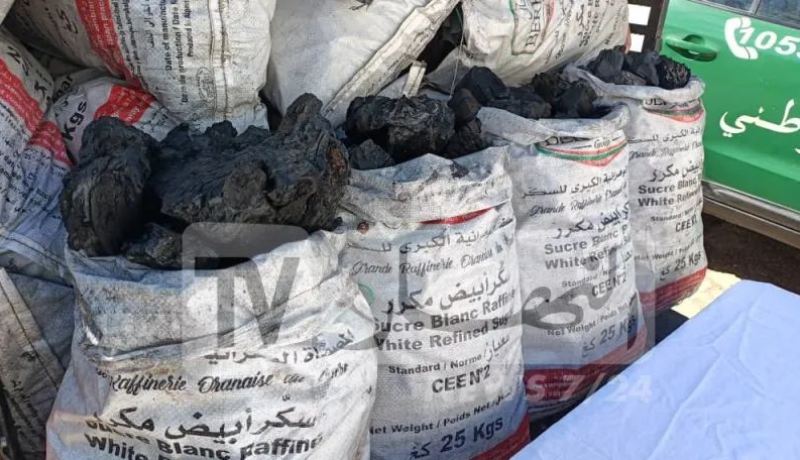 وزارة الفلاحة تجدد: انتاج الفحم ممنوع