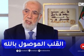 الشيخ عمر عبد الكافي: الشعراوي كان بالنسبة لي الأب الحاني والقلب الطيب