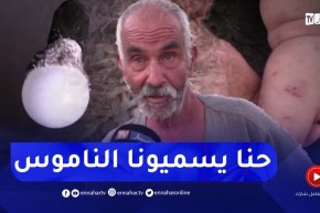 تلمسان: الحشرة القرمزية..ناموس الهندية كلانا ما تقدر ترقد ما تقدر تخرج ألقاولنا حل