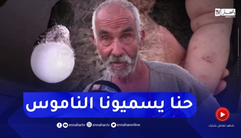 تلمسان: الحشرة القرمزية..ناموس الهندية كلانا ما تقدر ترقد ما تقدر تخرج ألقاولنا حل