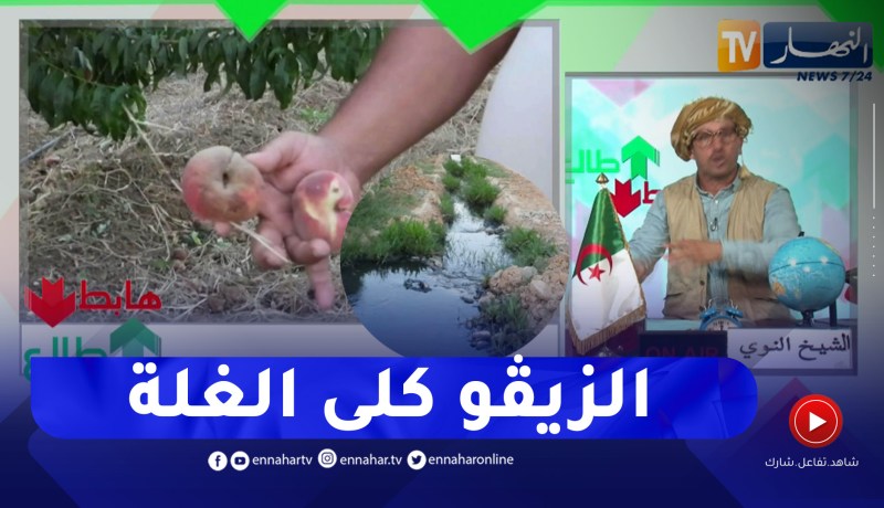 طالع هابط: شاهد ماذا فعلت بعوضة ومياه الصرف الصحي بـ 25 هكتار من “النيكتارين” بالعاصمة