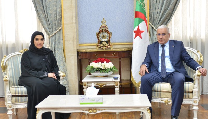  بوغالي يستقبل رئيسة اللجنة الوطنية لحقوق الإنسان في قطر