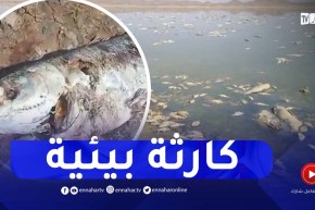 شاهد..كـ.ـارثة بيئية بسد جرف التربة في بشار