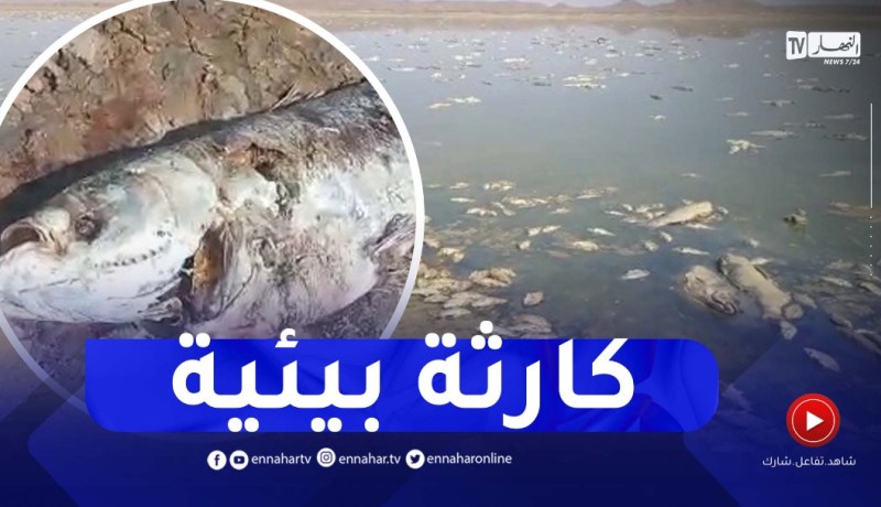 شاهد..كـ.ـارثة بيئية بسد جرف التربة في بشار