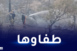 تبسة..إخماد حريق بغابة مشتة الحرشة
