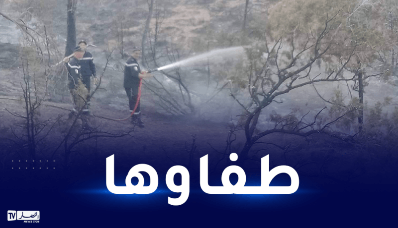 تبسة..إخماد حريق بغابة مشتة الحرشة