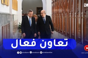 الرئيس تبون: إتفقنا على إعلان مشترك سيؤسس لمرحلة جديدة للتعاون الفعال بين الجزائر وإيطاليا
