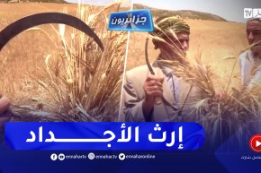 جزائريون: قصة وفاء وحكايات تمتد لعشرات السنين