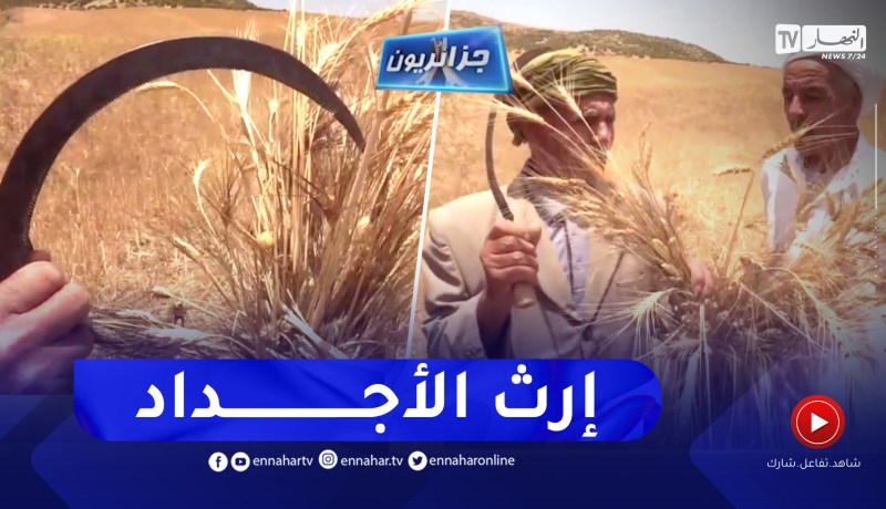 جزائريون: قصة وفاء وحكايات تمتد لعشرات السنين