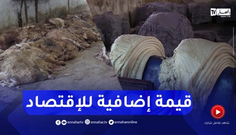 جلود الأضاحي..من عبء بيئي إلى قيمة إقتصادية