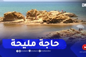 جيجل: حلم سكان بني فرقان يتحقق في افتتاح شاطئ واد الزهور